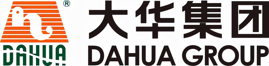 大华集团logo图片