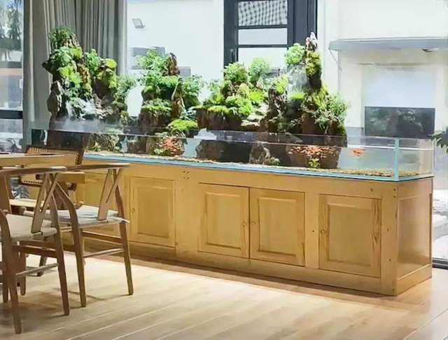 景观设计实景案例|江苏宜兴-水陆鱼缸造景