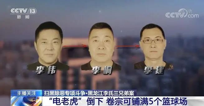 案例黑龙江"电老虎"三兄弟:存款高达10亿,96台豪车135套房