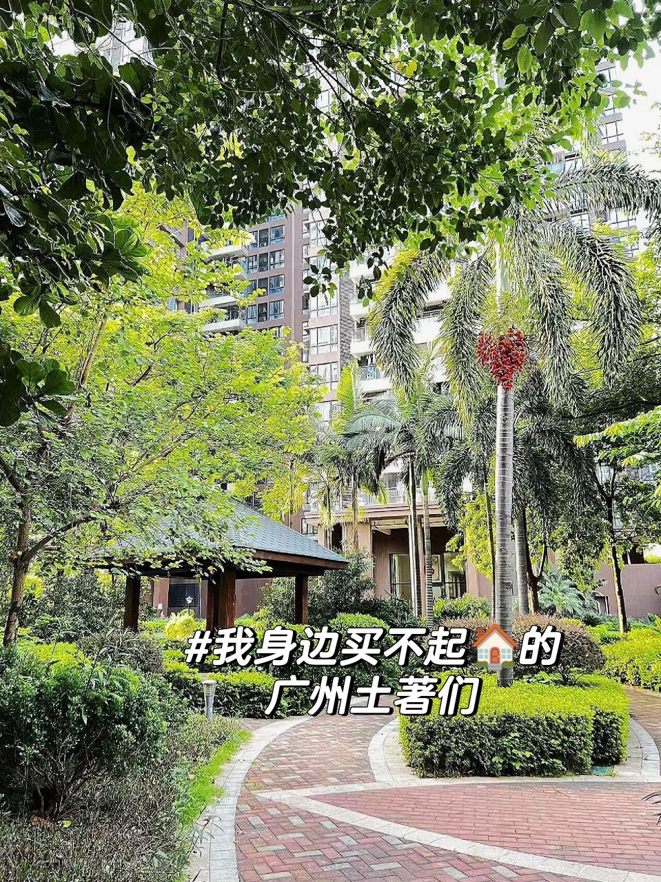 95后买房我身边买不起房广州土著们 95后佛系买房1:我身边买不起房的