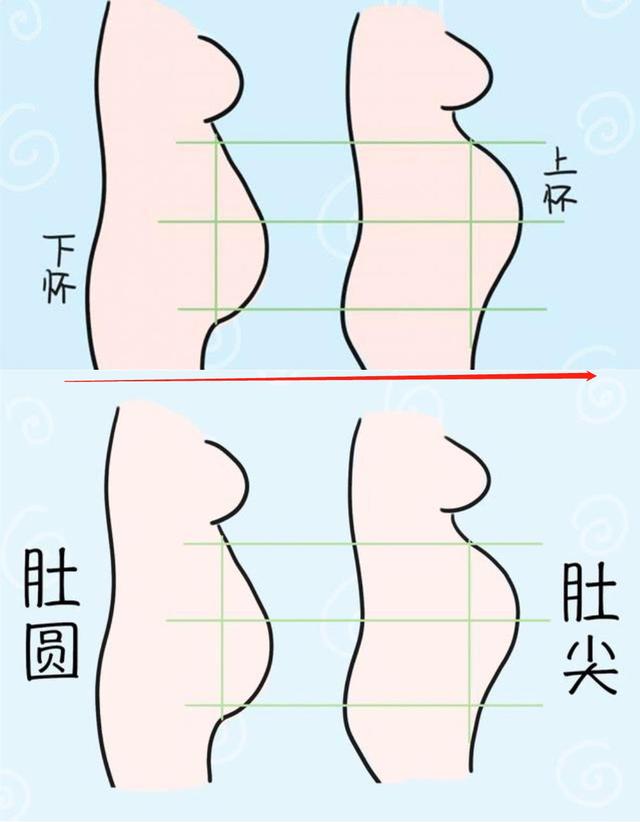 上怀男,下怀女,尖男,圆女?孕肚位置形状决定生男生女,准吗?