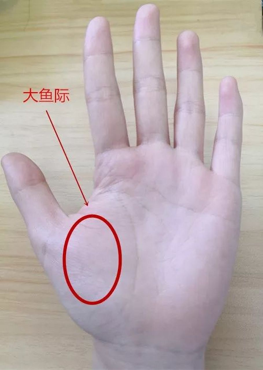 有早醒症状的友友,可以揉揉手部的"大鱼际"