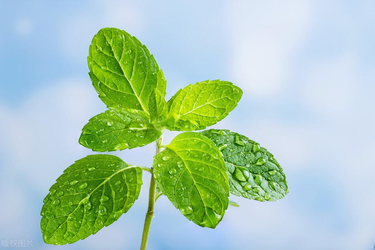 夏天文案,温柔极致文案