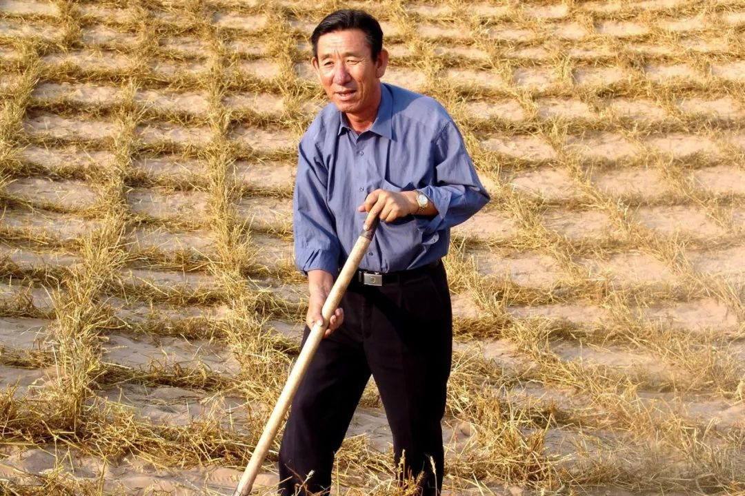 治沙英雄?是那个跪着求水的老孙吗?不!宁夏有自己的治沙愚公!