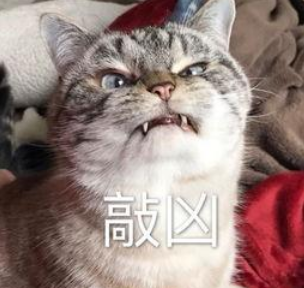 香港中环的"风水大战"