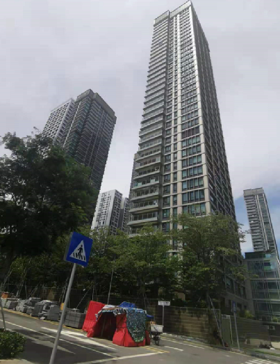 明日起提交资料!