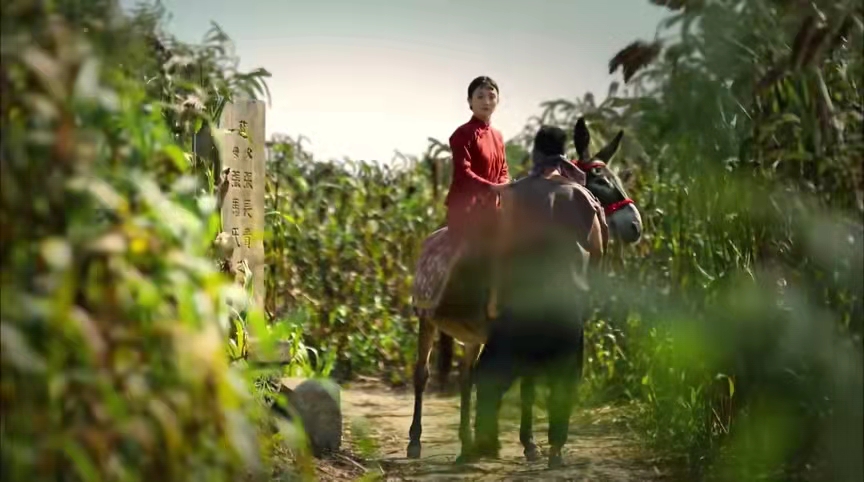 三看《红高粱》:余占鳌和九儿强行同居,才是对张俊杰最狠的报复