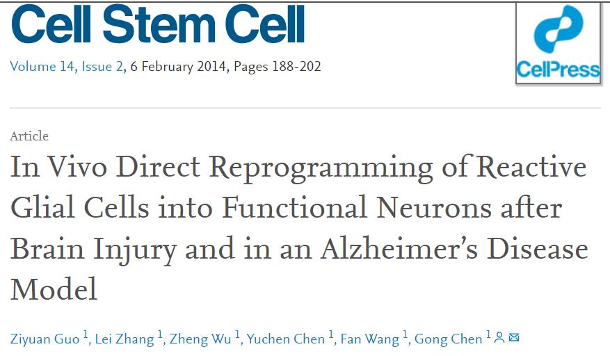 张春立团队运用谱系追踪法重新审视小鼠体内胶质细胞向神经元转分化