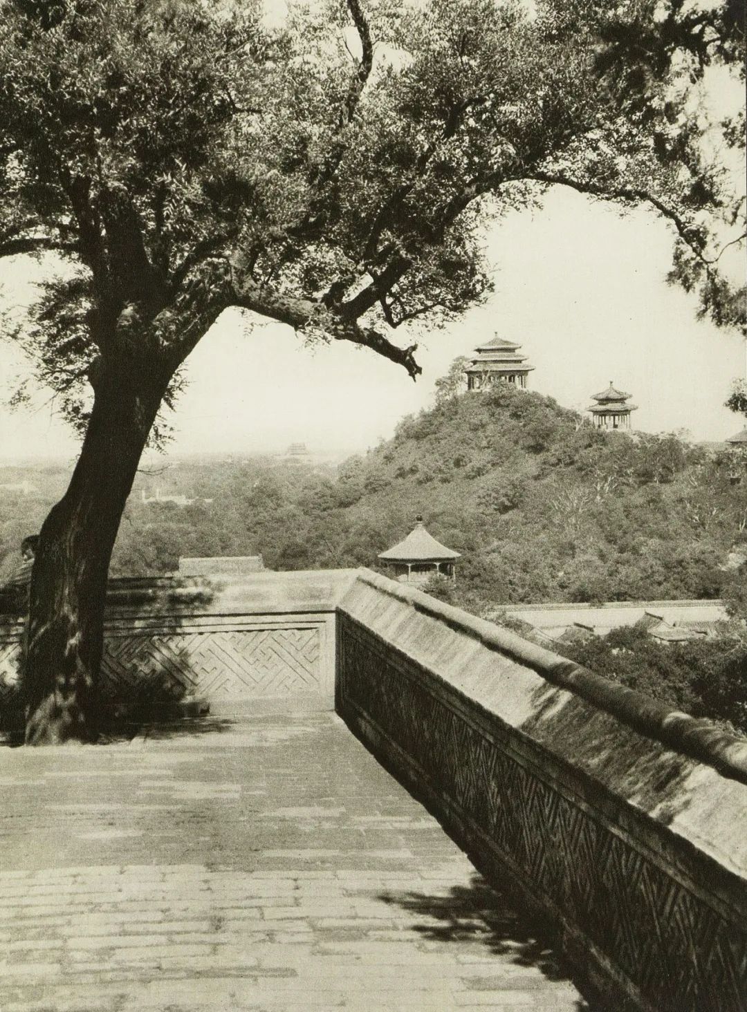 云上展陈丨百年瞬影 北海公园历史照片展「城市望点」篇⑦