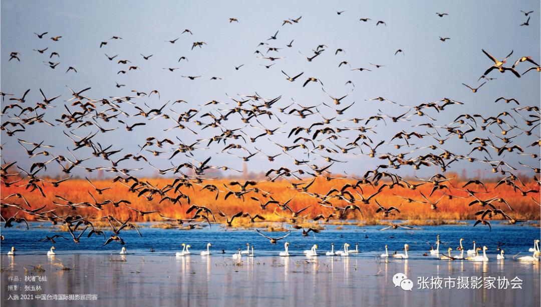 祝贺《野性西部》张玉林野生动物摄影作品选出版发行