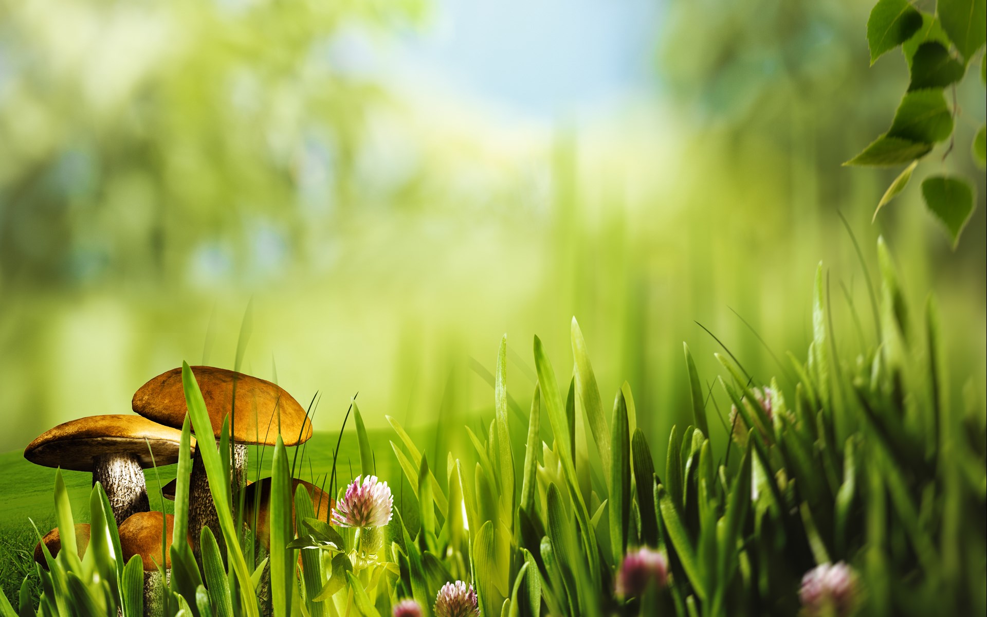 人生本过客,何必千千结;看淡了人间沧桑,心自然就会安然无恙