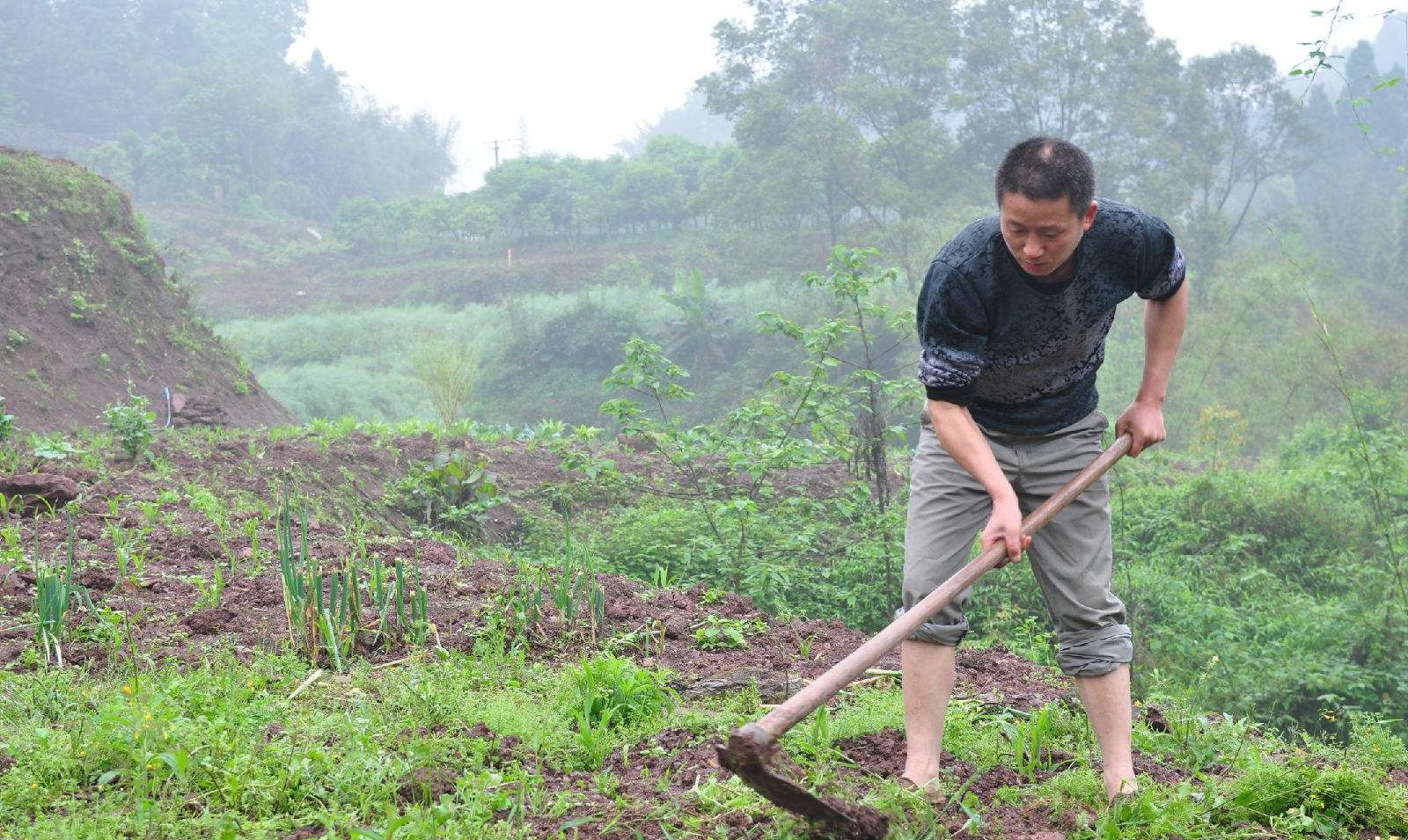 三哥结婚,我妈拿出我一年工资给他办婚礼,事后哥嫂都不承认了