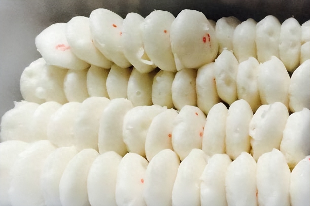 回顾残疾小伙卖白糕成亿万富翁每月给妻子2万却被妻子杀害