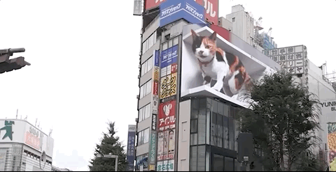 东京街头出现巨大三色猫?看来召唤二次元美少女也不远了