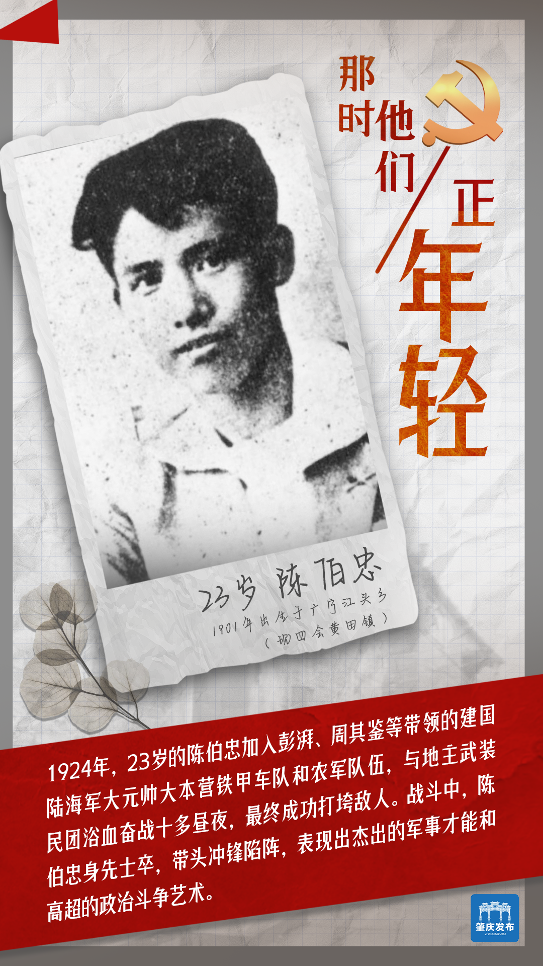 那时,肇庆的他们正年轻!