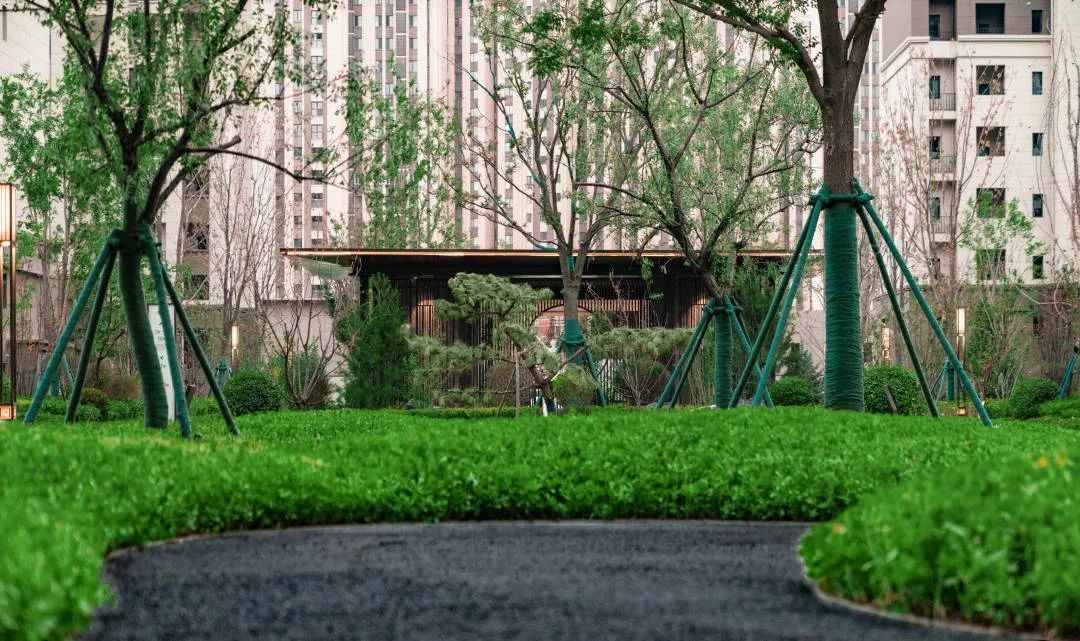 新城控股西北大区银川吾悦和府品鉴