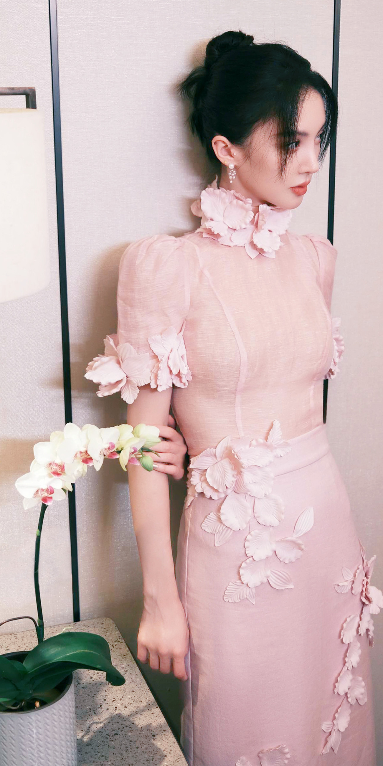 今日份女明星壁纸组图,金晨,程潇,孙芮,杨超越,吴谨言