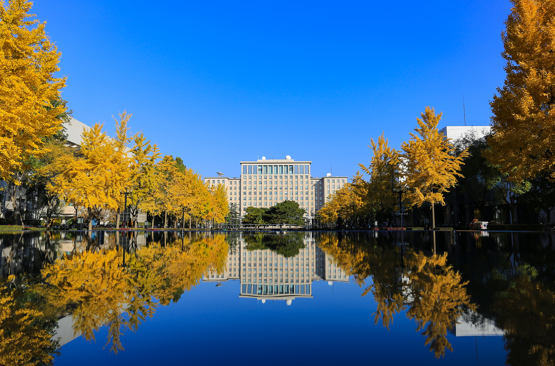 国防七子之一:北京理工大学,兵器科学与技术连续二十年全国第一