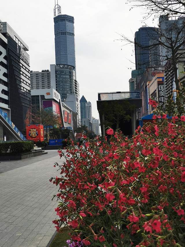 回不去的华强北,实拍深圳华强北商业街,夜色很美但也很冷清