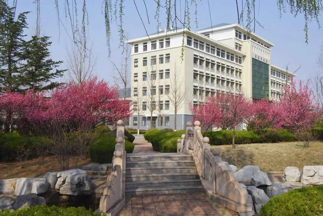 新中考第一年,莱西市成绩突出,5500名学子步入理想的高中校门