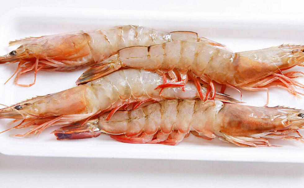 喜欢吃海鲜的朋友看过来,威海这三种特产海鲜,让你吃个够!