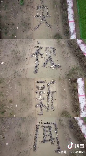 |不一样的“爱拼”模式，养鸡小哥被央视“盯”上了