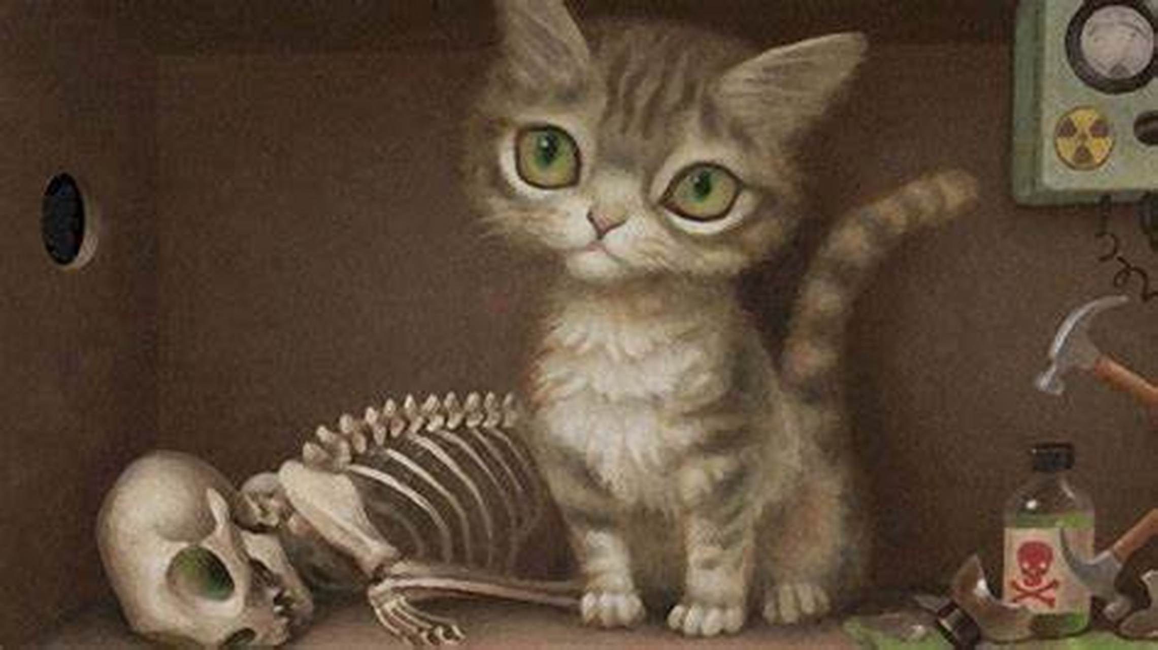 薛定谔的猫是所有科学中最著名的思想实验之一.