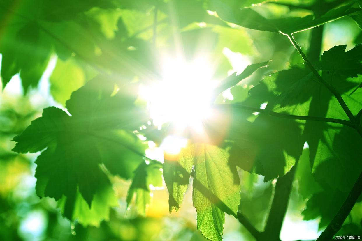 致自己,眼里有光,心里敞亮|十年总结