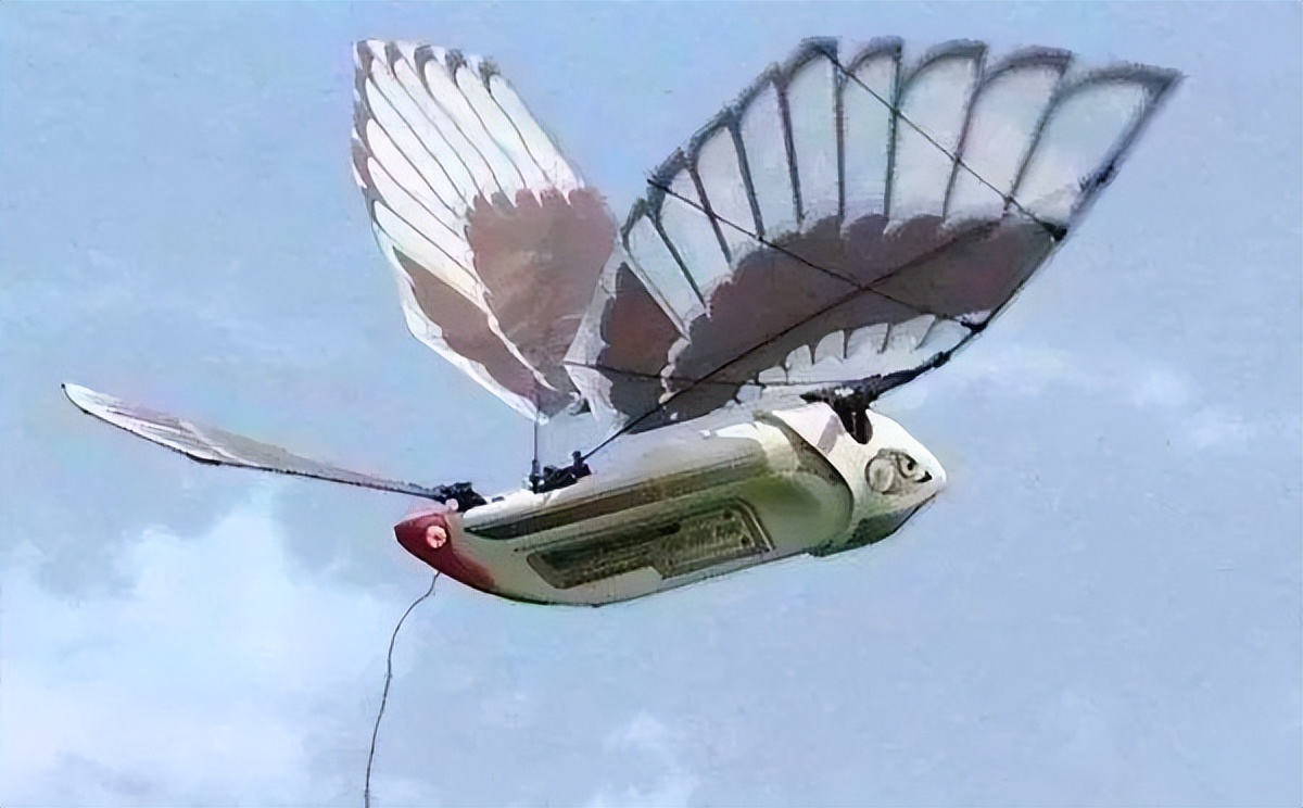 北航扑翼机续航时间破世界纪录刚一周,西工大仿鸟飞行器就给破了