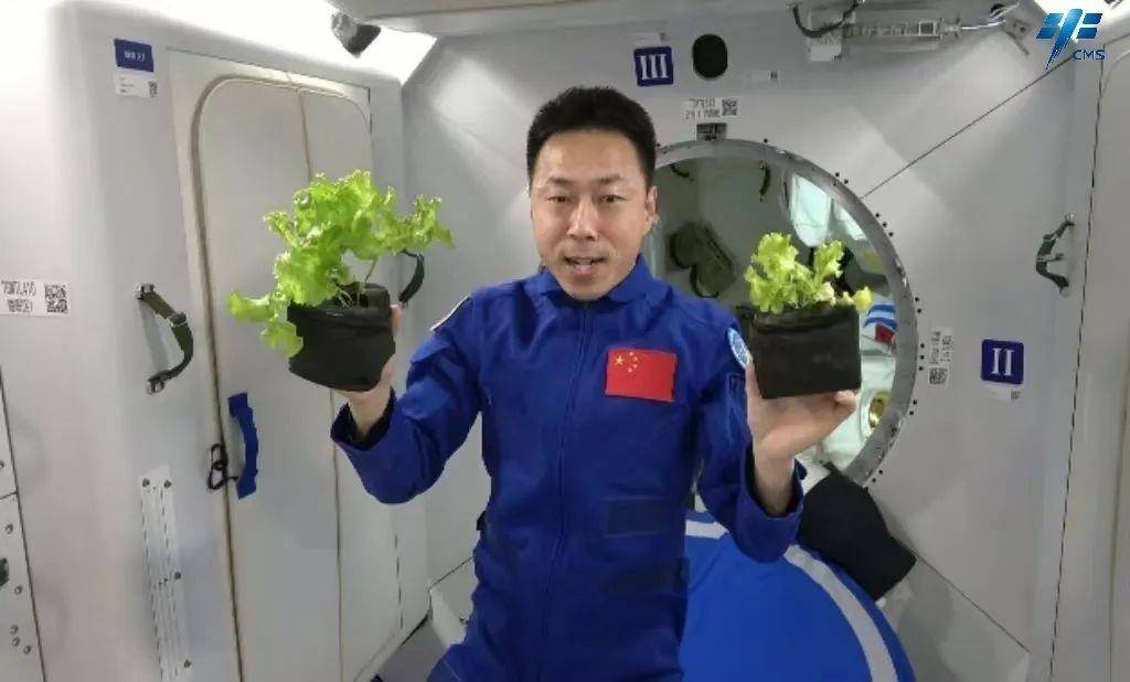 在太空中能吃到什么美食?揭开宇航员真正在吃的食物!