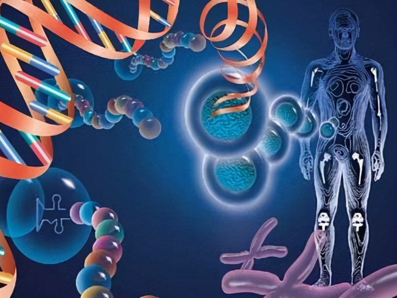 人类基因被谁改造过?女子称丈夫是外星混血儿,无人类dna(下)