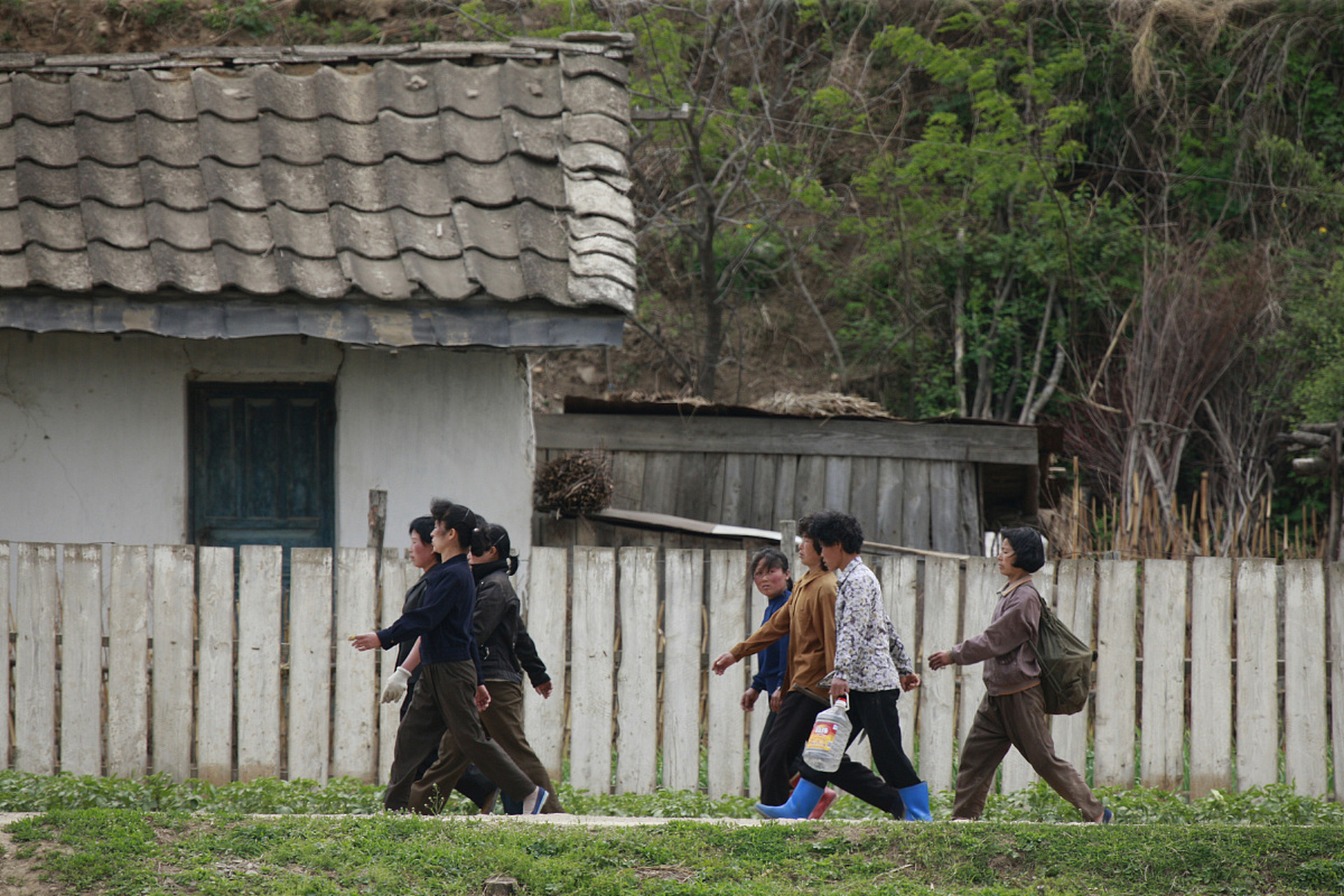 走进朝鲜,国家未实施计划生育,朝鲜女人婚后的首要任务是生小孩