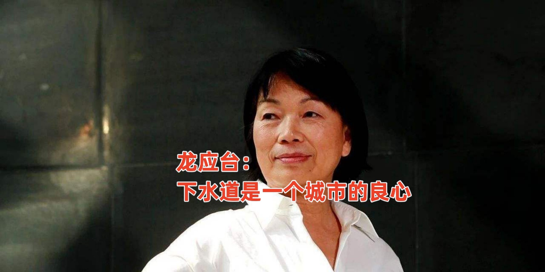 下水道是城市良心!龙应台名言被媚外大v翻炒 影射华北暴雨洪灾