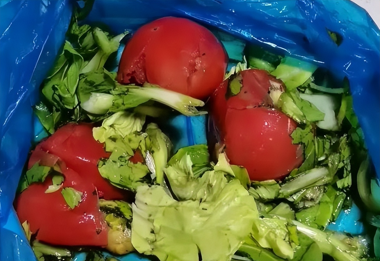 上海堆满变质蔬菜的垃圾堆,亟需用心"辟谣"