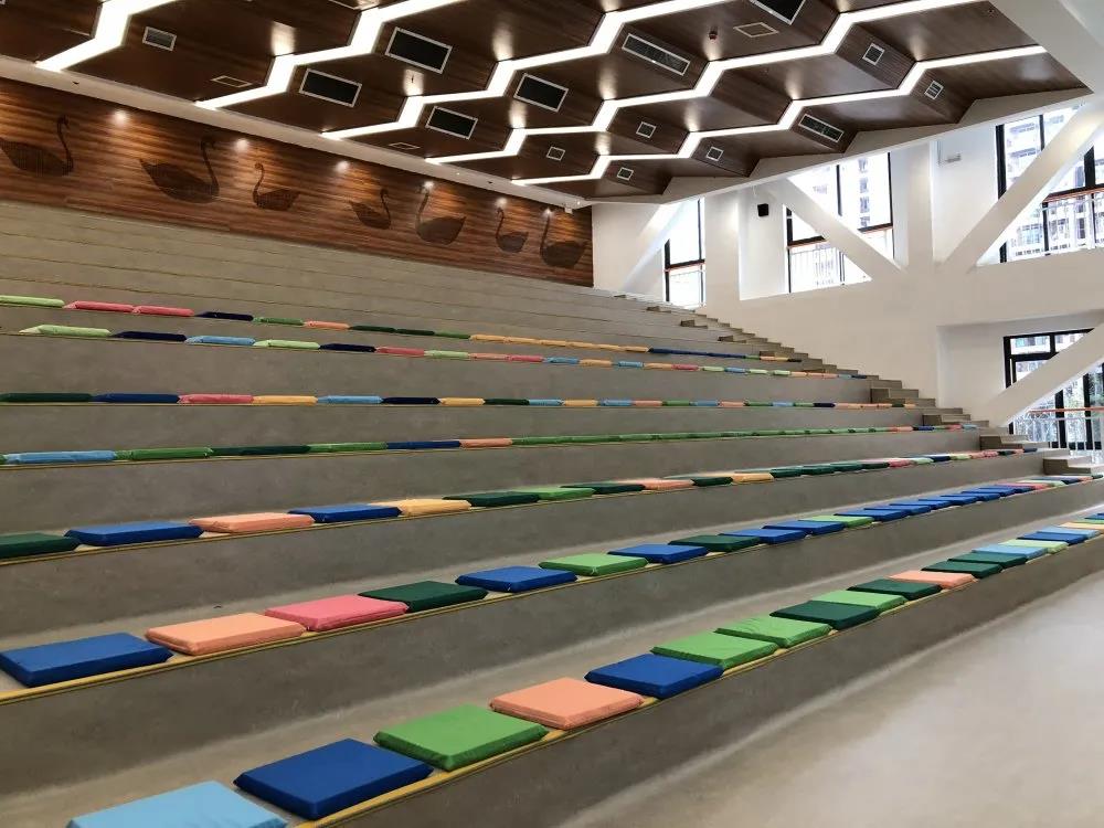 科普成都国际公立学校之一丹麦霍森斯小学