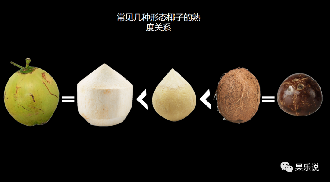 常见椰子类(二):泰国椰青,椰皇