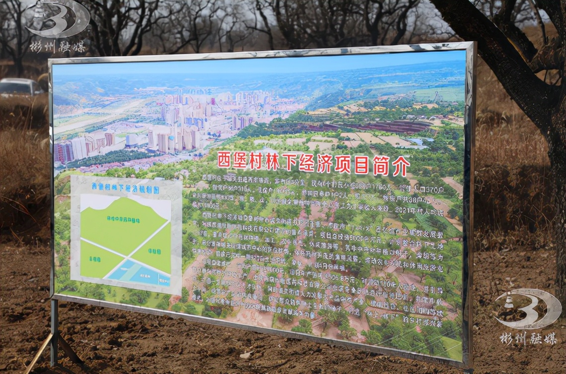 彬州市委书记王宏志到城关街道调研乡村振兴工作