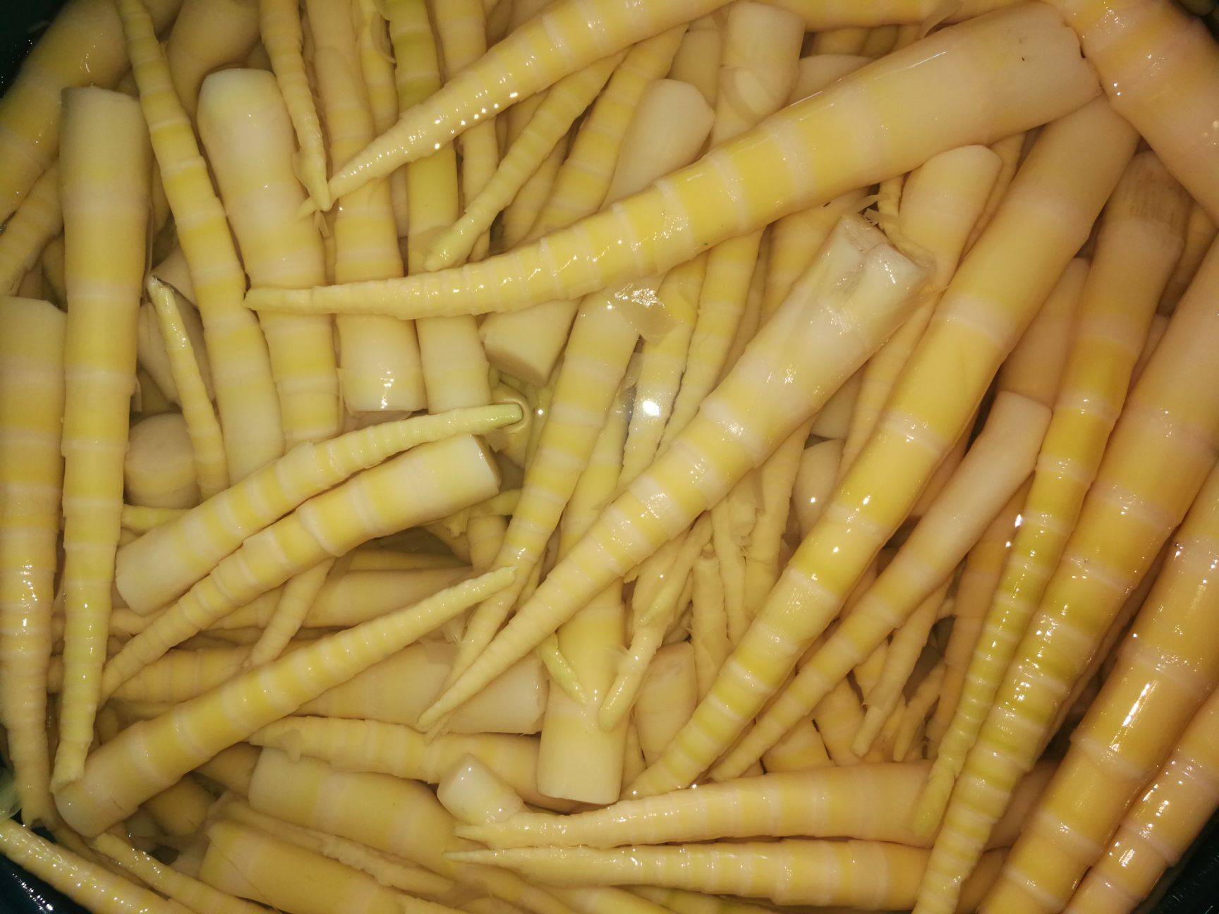 如何更有效地推动笋竹产业链发展?