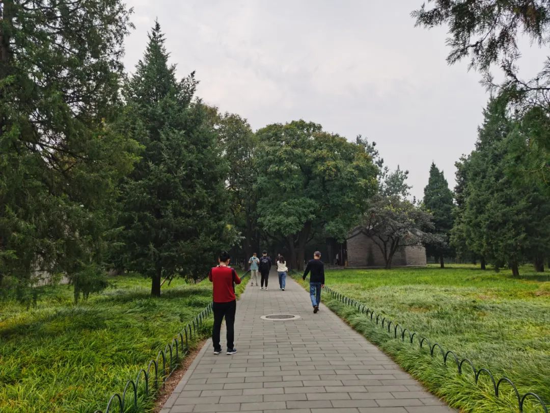 北京60岁以上免费公园图片