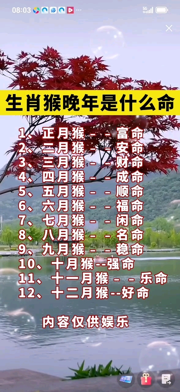 未来40天生肖猴运势如何(未来40天生肖猴运势如何呢)