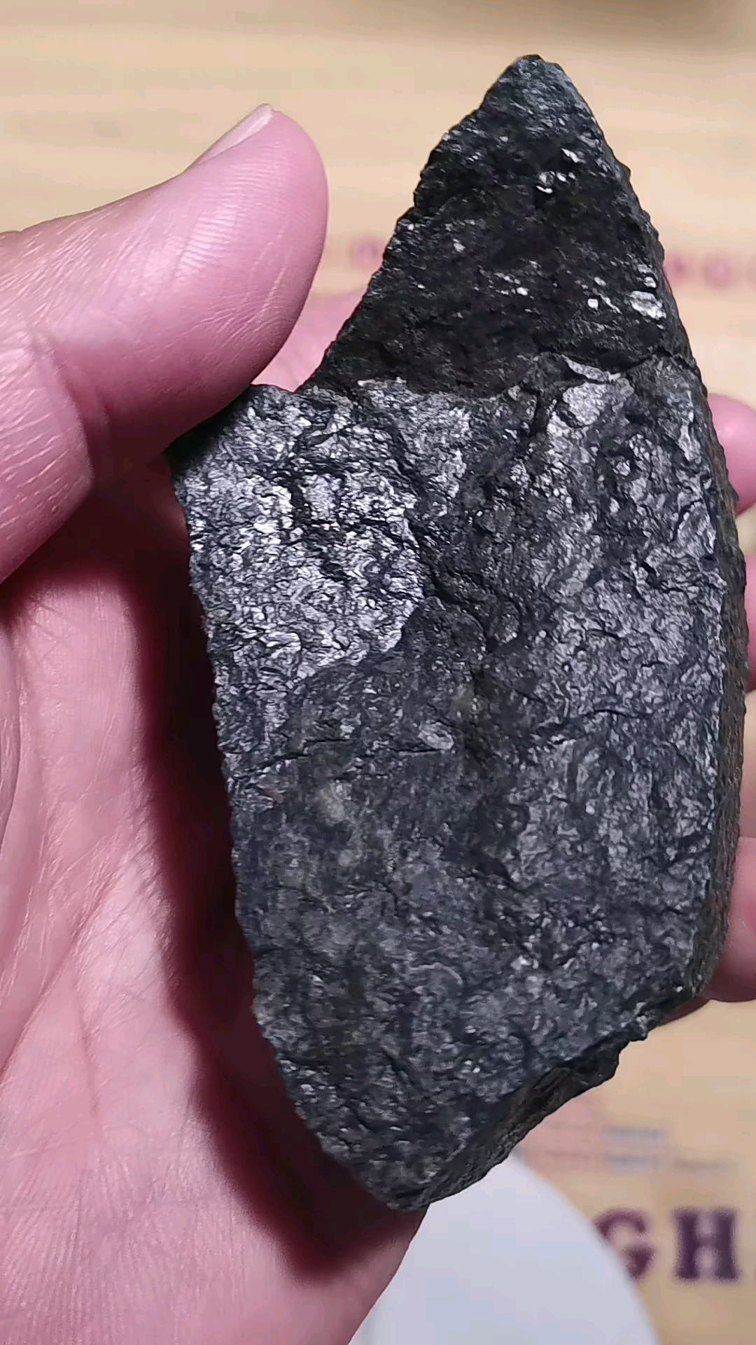 这个石陨石,经历了低空爆炸,铁镍金属非常漂亮