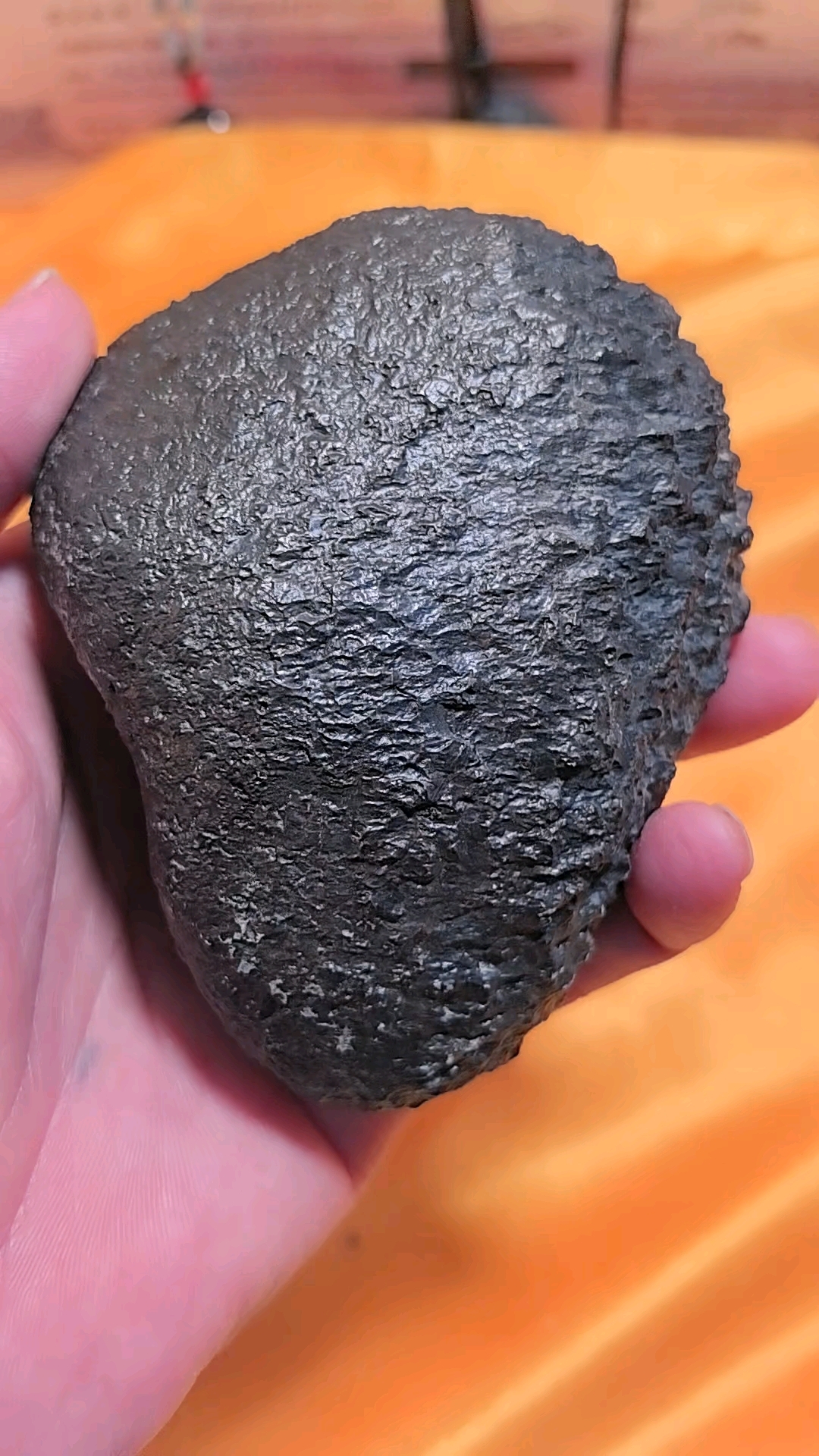 有冲击特征的石陨石