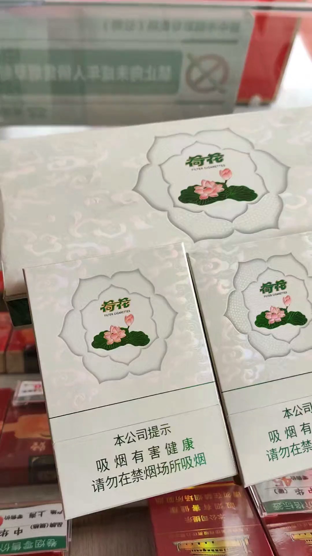 经典中支荷花图片