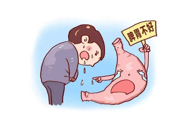脾胃为什么那么重要