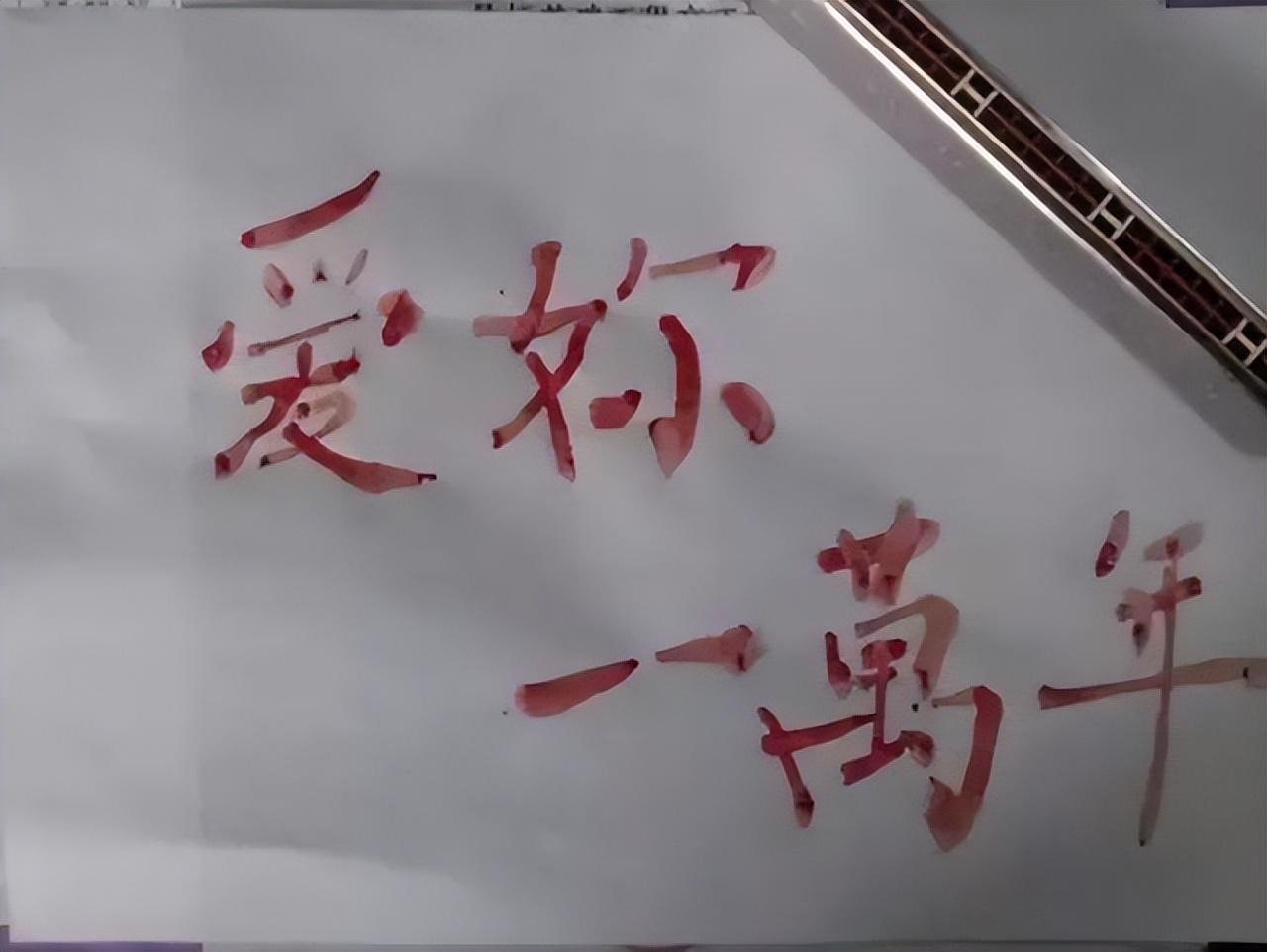 一封血书引发的爱情故事