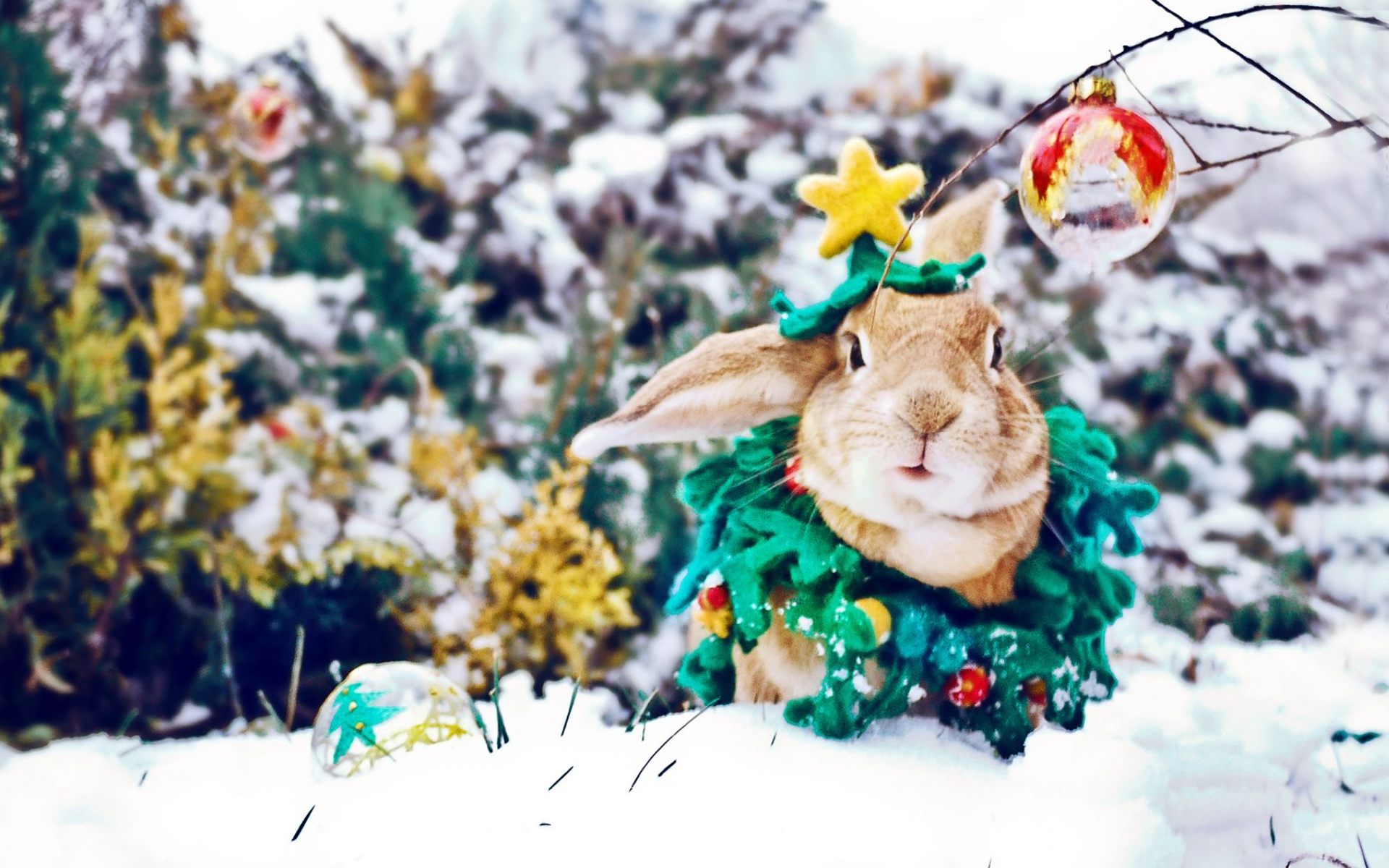 就是这个段子,爆笑一波高于一波《十九》