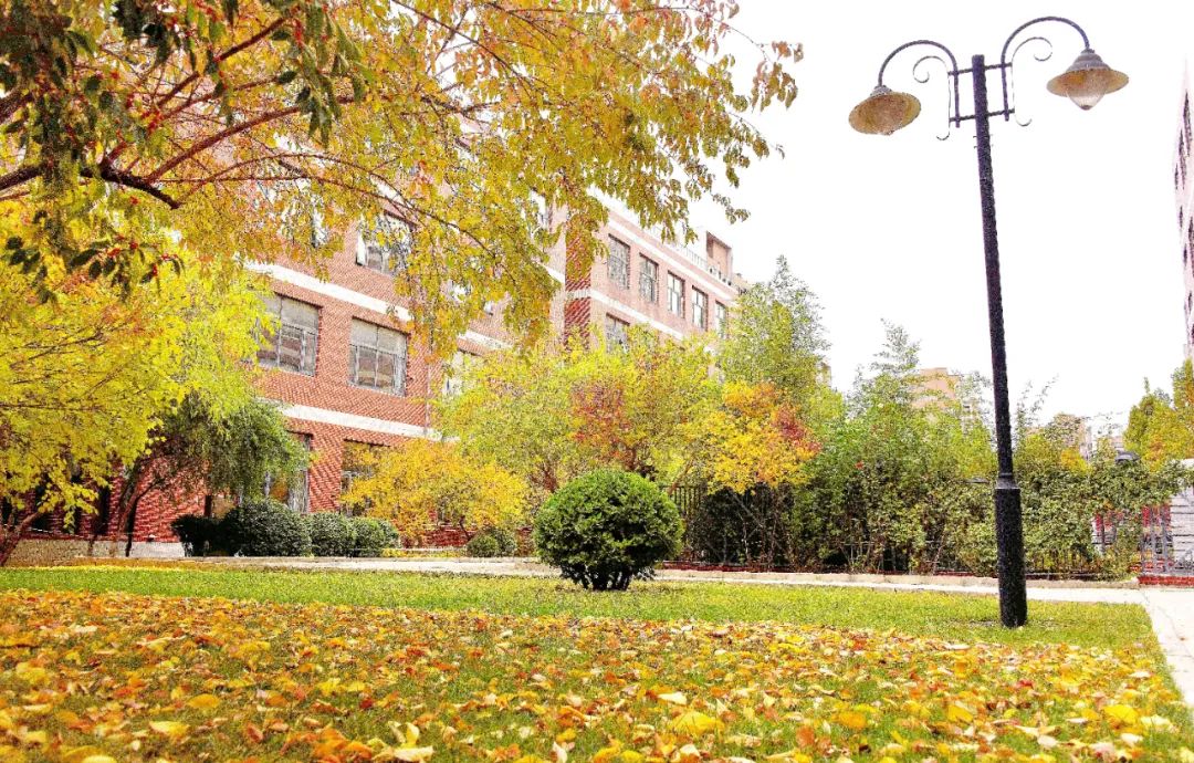 爱在北京市中芯学校,让我们一起携手并进