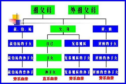 家庭关系树状图 四代图片