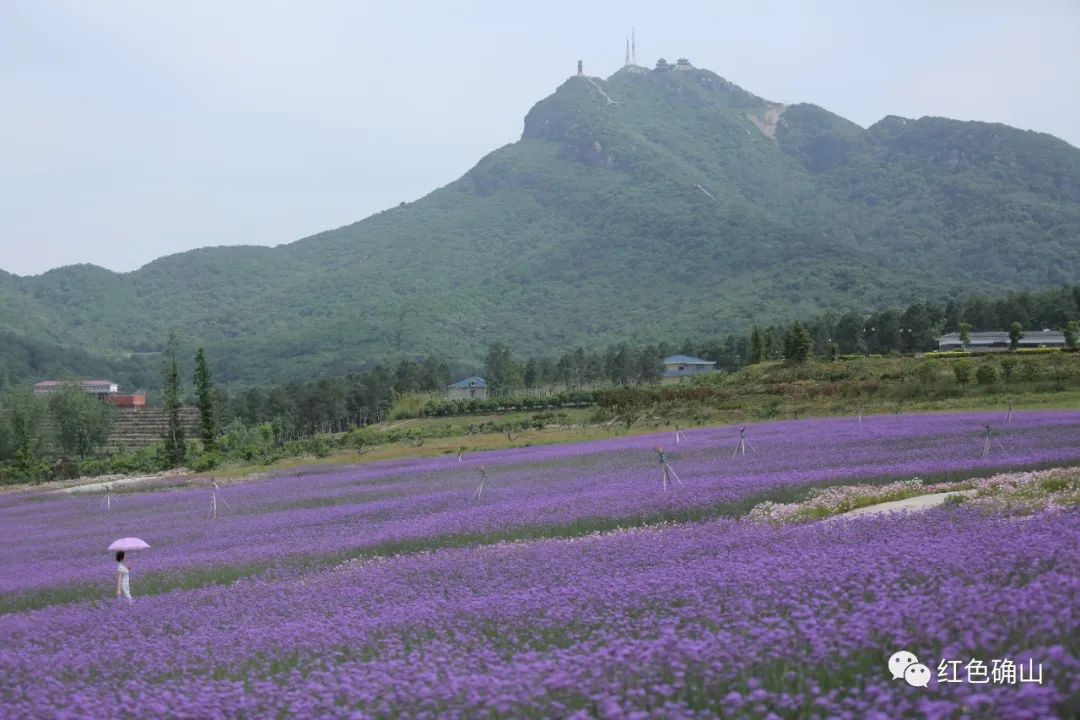 确山县瓦岗镇:初心使命解民忧 "瓦岗三宝"美名扬