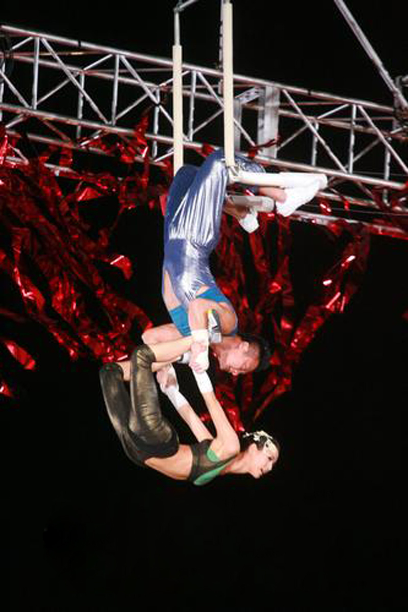 高空表演有多危险?港星郑希怡曾被扒掉裤子,坠落三楼树枝穿肺